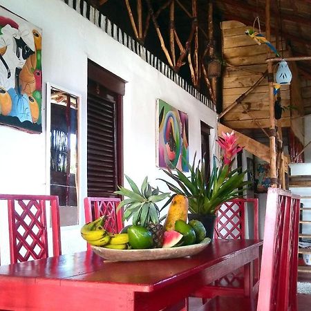 Hostel La Ballena Backpacker Las Galeras Extérieur photo