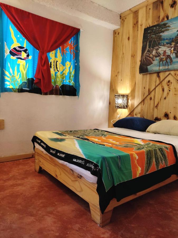 Hostel La Ballena Backpacker Las Galeras Extérieur photo