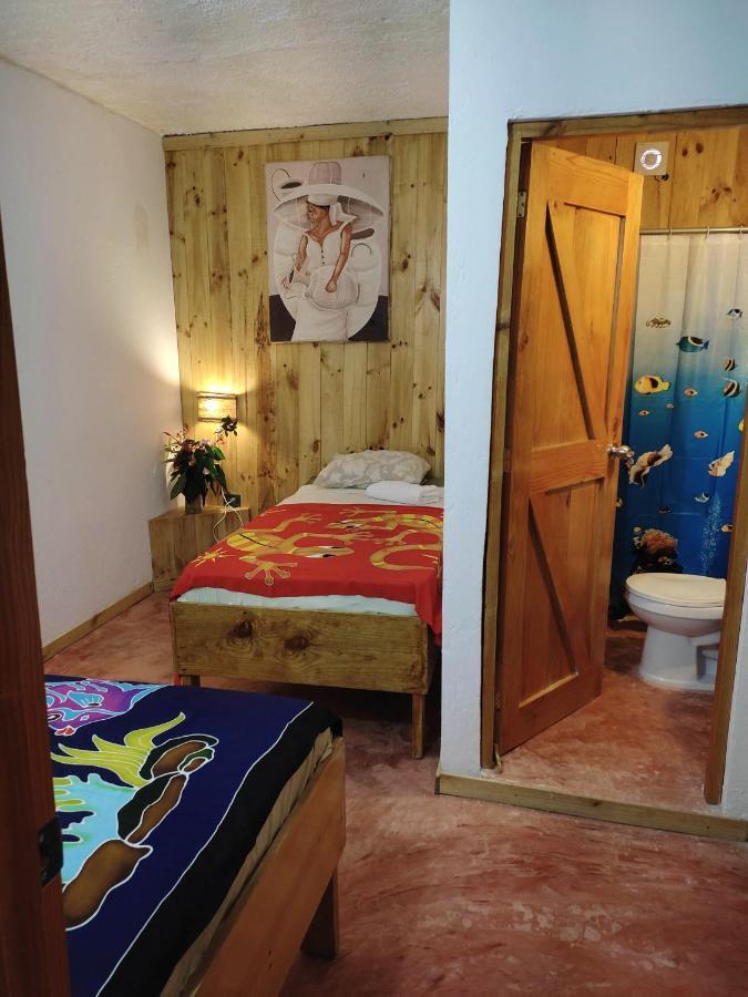 Hostel La Ballena Backpacker Las Galeras Extérieur photo
