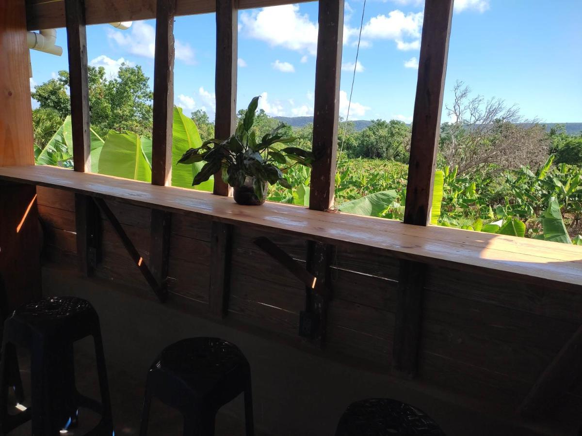 Hostel La Ballena Backpacker Las Galeras Extérieur photo