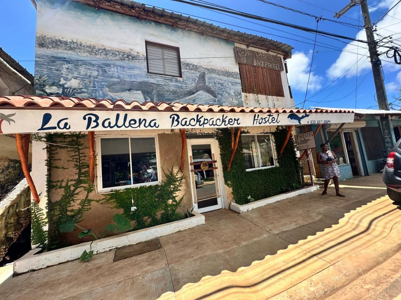Hostel La Ballena Backpacker Las Galeras Extérieur photo