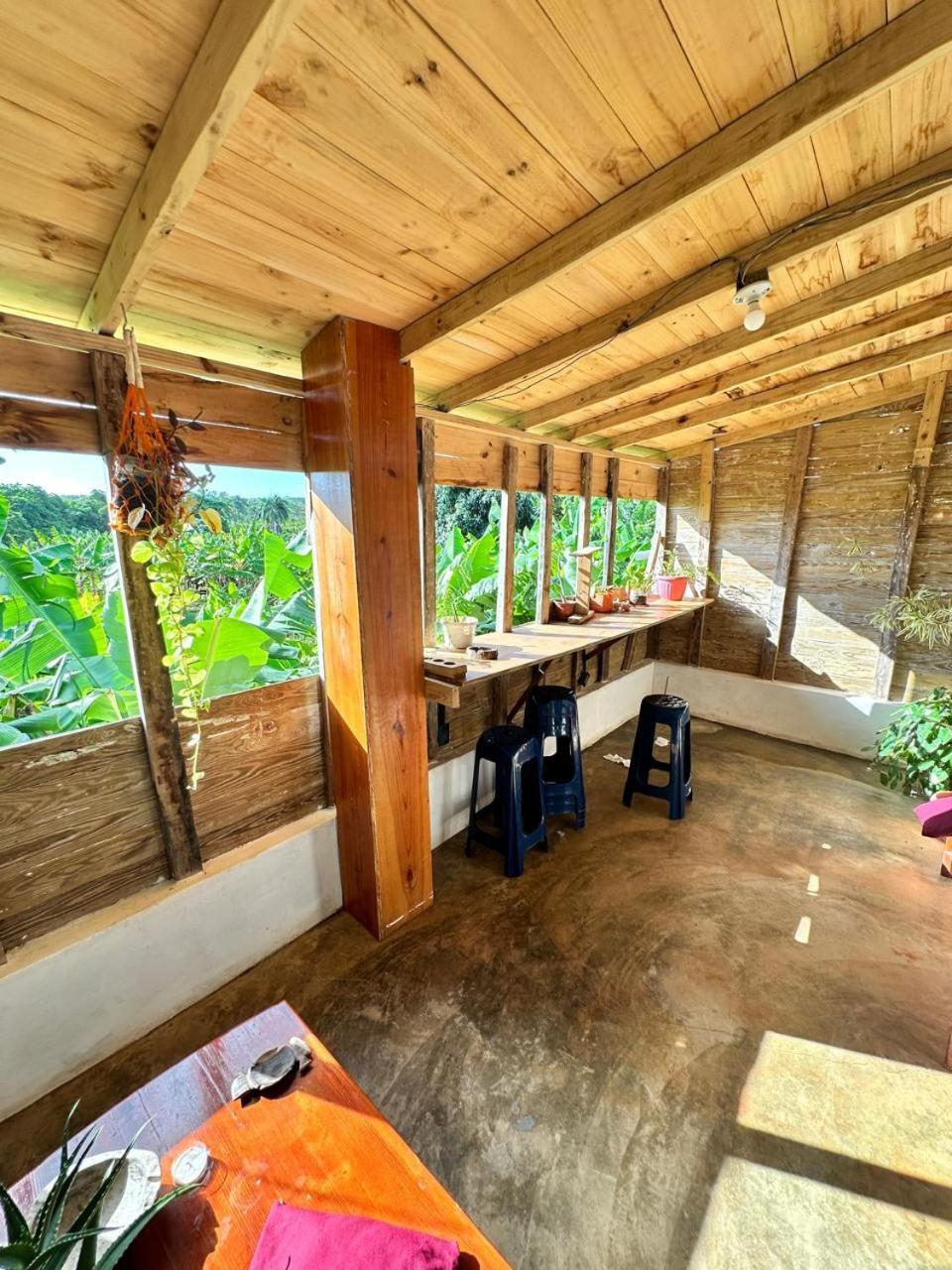 Hostel La Ballena Backpacker Las Galeras Extérieur photo