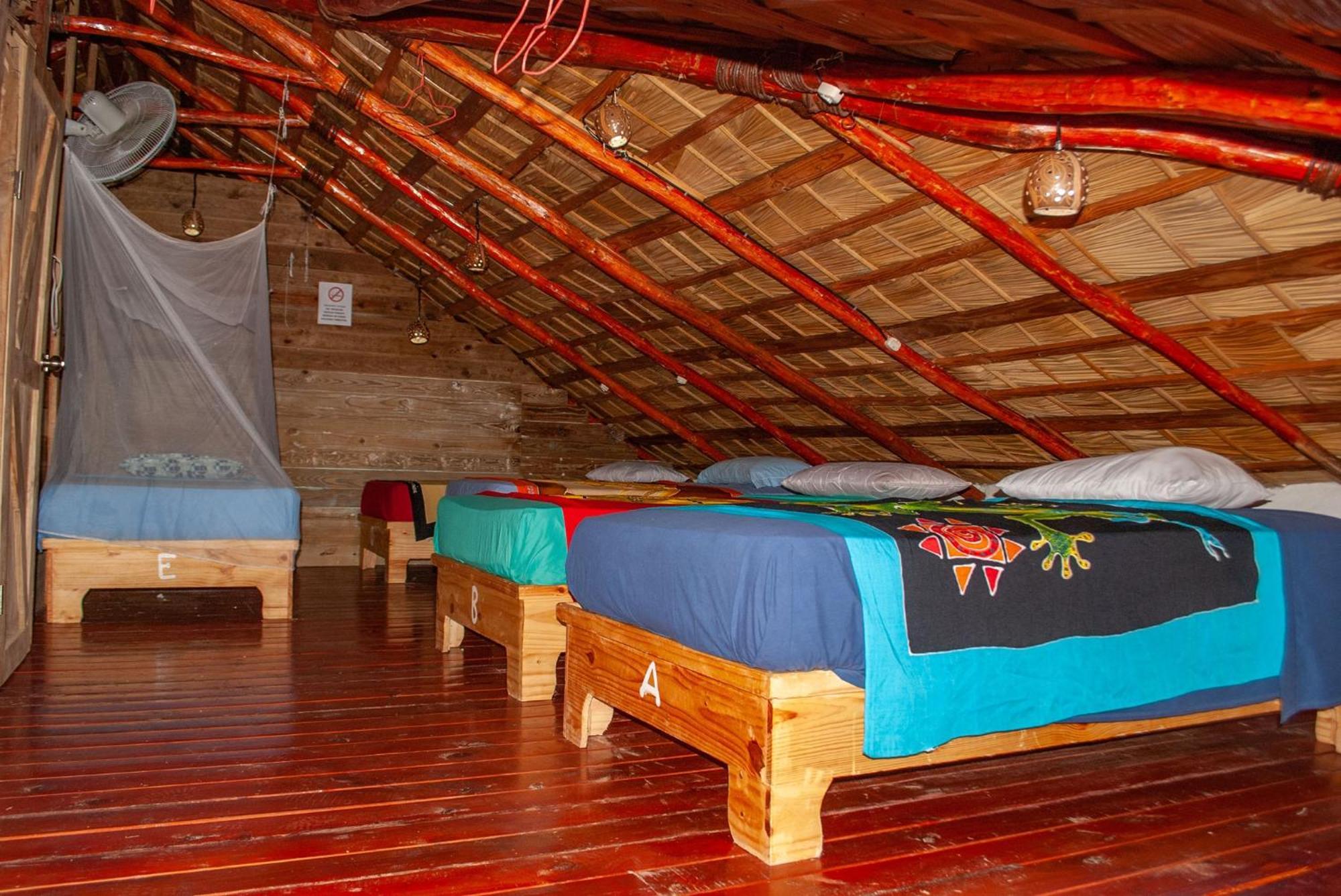 Hostel La Ballena Backpacker Las Galeras Extérieur photo