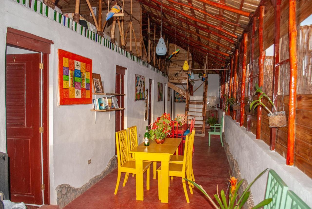 Hostel La Ballena Backpacker Las Galeras Extérieur photo