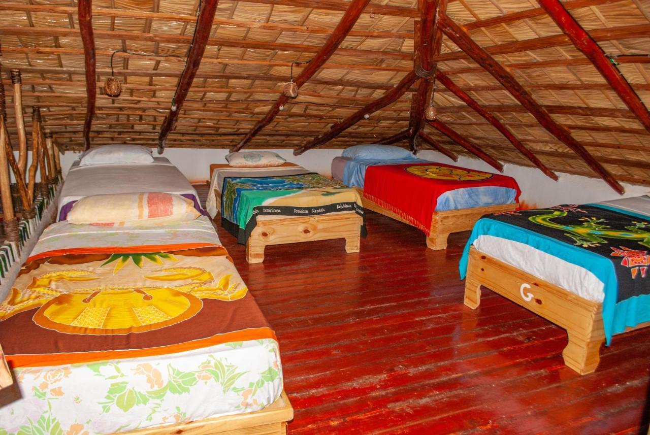 Hostel La Ballena Backpacker Las Galeras Extérieur photo